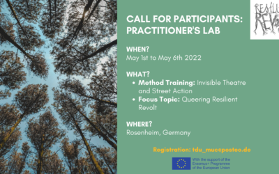 Call for participants: practitioner’s lab – invisible theatre and direct actions